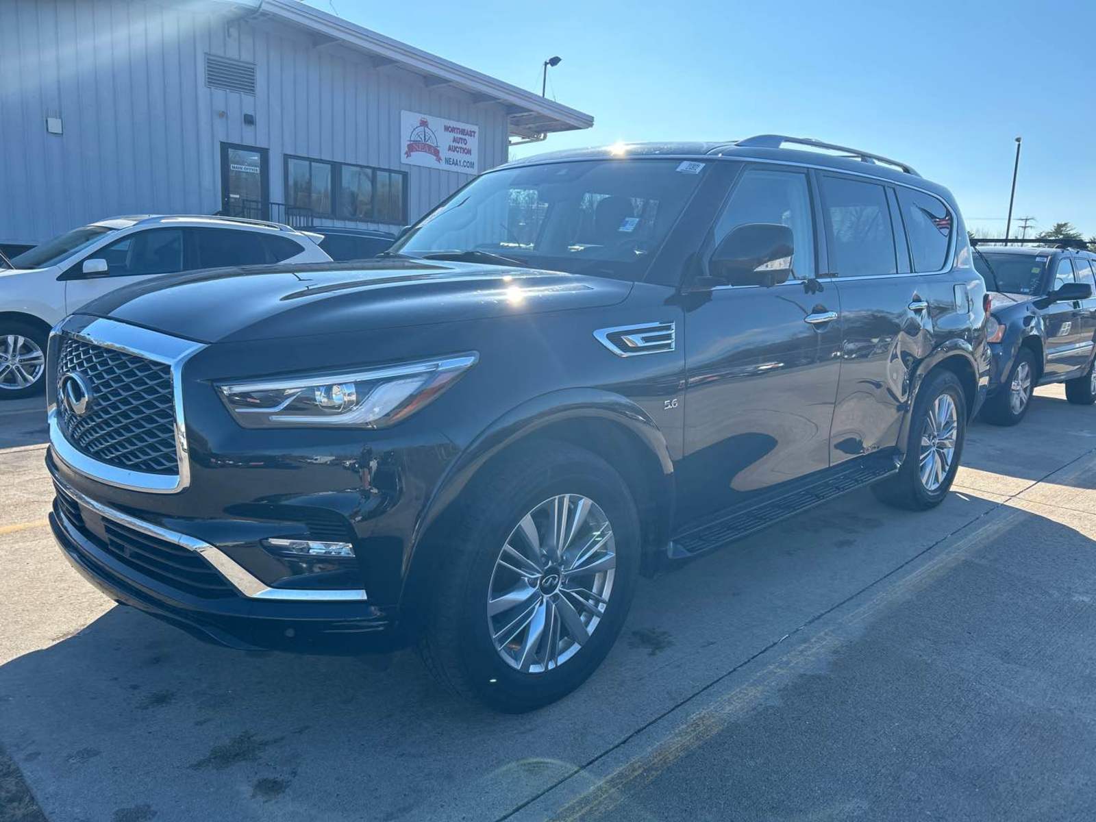 2019 INFINITI QX80